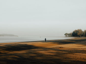 Scenic view of beach against clear sky