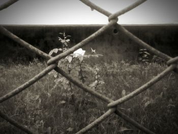 Barbed wire fence on field against sky