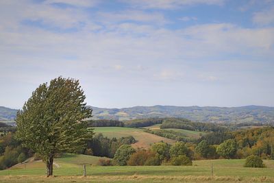 Scenic view of field against sky