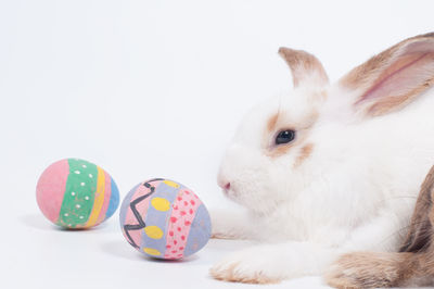 Close-up of a white background