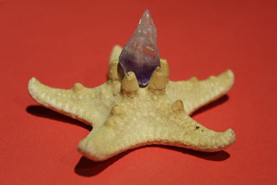 High angle view of christmas decoration