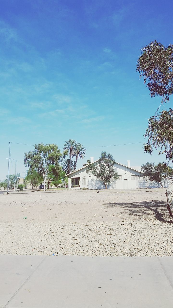 tree, sand, beach, blue, sky, tranquility, tranquil scene, palm tree, sunlight, nature, shore, scenics, shadow, built structure, beauty in nature, day, outdoors, landscape, clear sky, building exterior