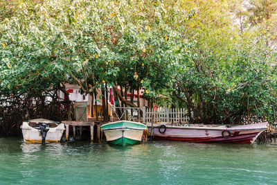 Sailboats moored on riverbank