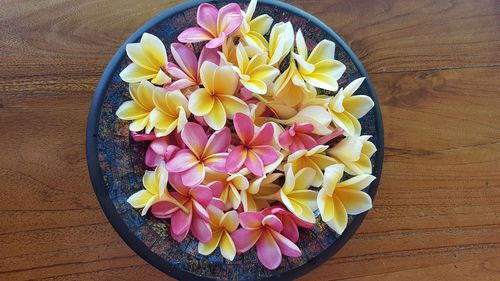 High angle view of potted plant on table
