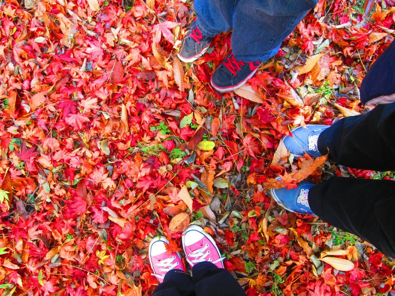 low section, person, lifestyles, men, shoe, standing, leisure activity, autumn, personal perspective, human foot, togetherness, casual clothing, unrecognizable person, friendship, jeans