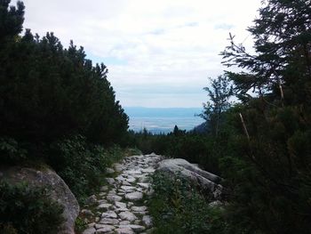 Scenic view of river against cloudy sky