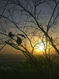 Low angle view of silhouette bare tree against sky during sunset