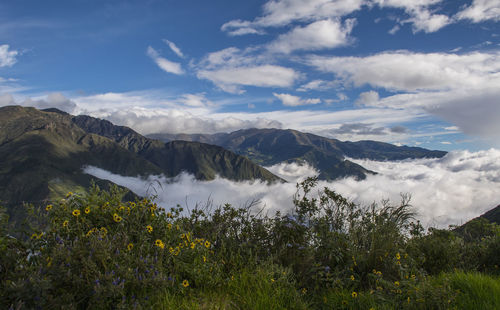 Clouds forming in a valley close to cotopaxi, bellavista, ecuador