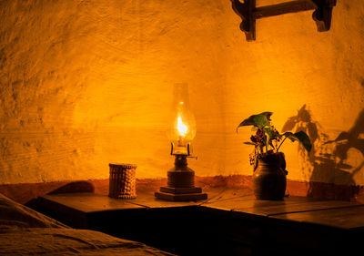 Illuminated potted plant on table against wall