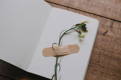 Flower stuck with plaster on a notebook on wooden table