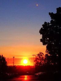 Silhouette of trees at sunset