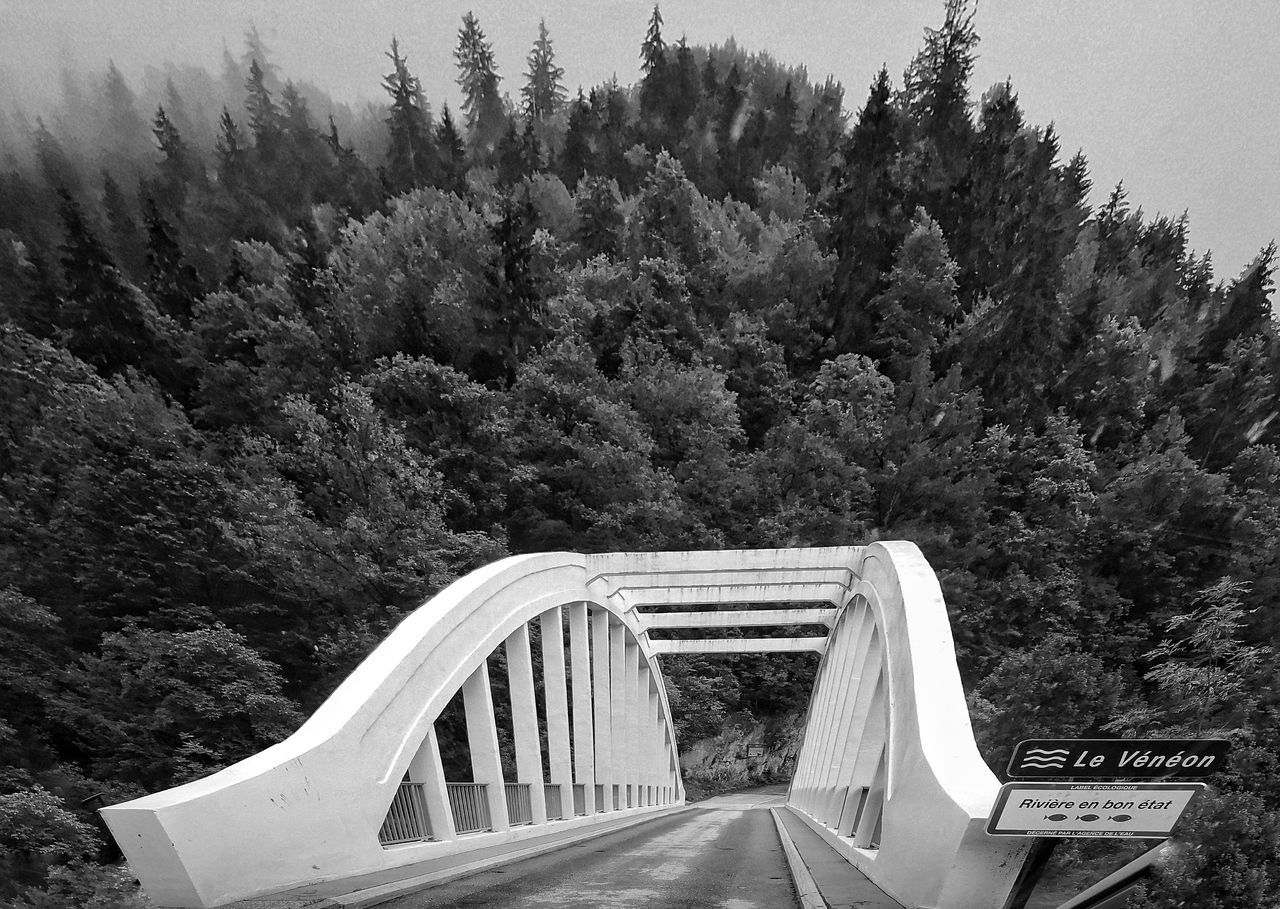 tree, plant, nature, mountain, no people, growth, day, connection, architecture, bridge, beauty in nature, forest, built structure, non-urban scene, transportation, land, bridge - man made structure, outdoors, scenics - nature, tranquility