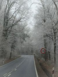 Road amidst trees