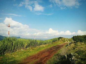 Countryside landscape against blue sky and clouds