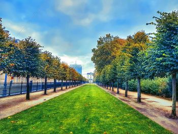 Trees in park during autumn