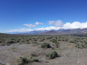 Scenic view of landscape against blue sky