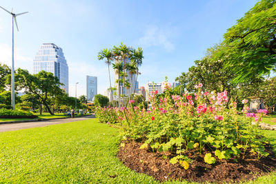 Flowering plants and trees by buildings against sky in city