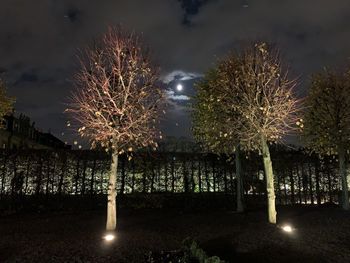 Firework display over trees on field against sky at night