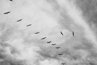 flying