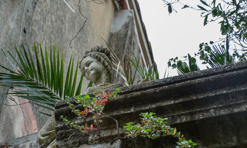 Low angle view of horse sculpture against plants