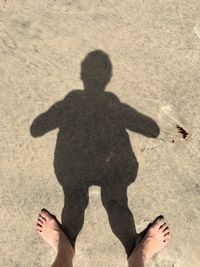 Low section of woman standing on land during sunny day