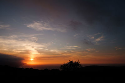 Silhouette trees against dramatic sky during sunset