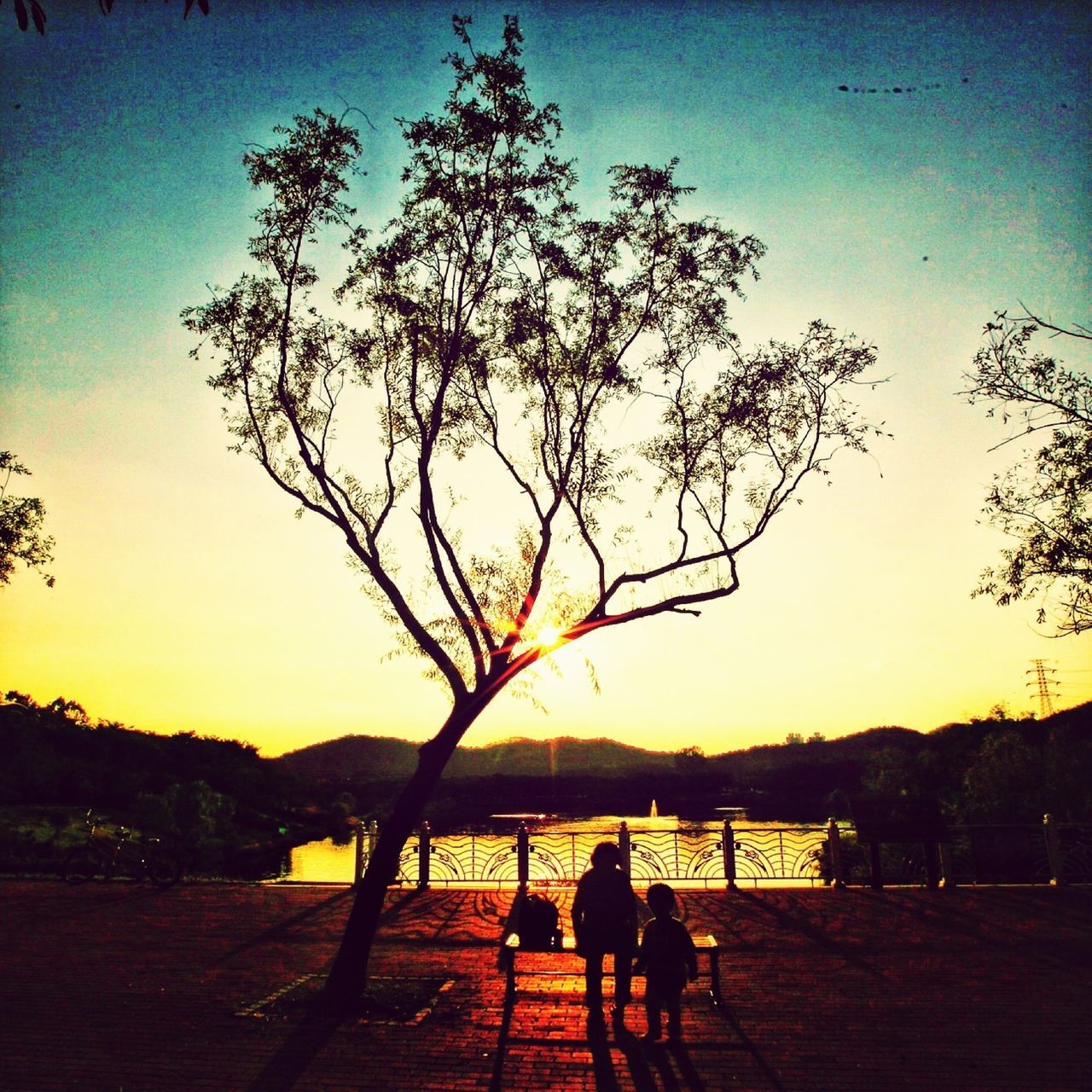 tree, silhouette, sunset, tranquility, sky, tranquil scene, leisure activity, men, scenics, lifestyles, beauty in nature, nature, lake, person, sunlight, bench, water, railing