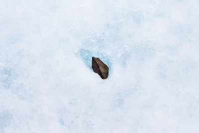 High angle view of stone on ice