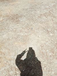 Shadow of person standing on rock