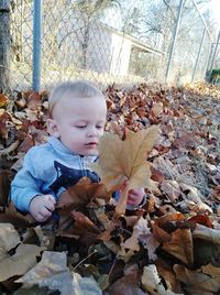 Cute boy holding leaves during autumn