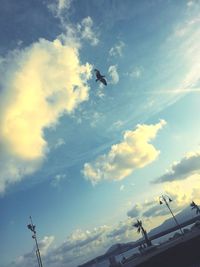 Low angle view of bird flying in sky