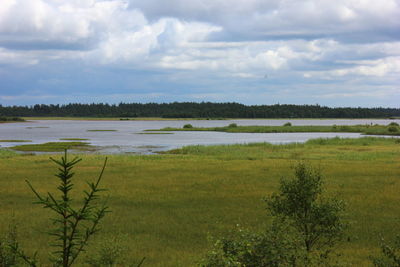 Scenic view of lake against cloudy sky