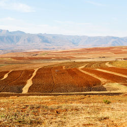 Scenic view of field against sky