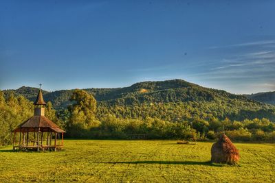 Scenic view of agricultural field against sky