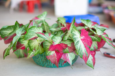 Close-up of strawberries on table