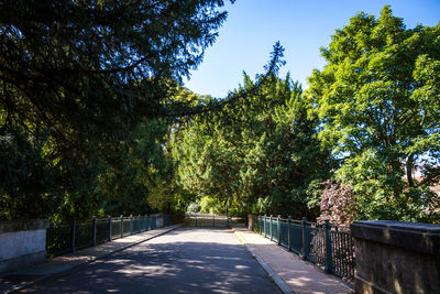 Road amidst trees against sky