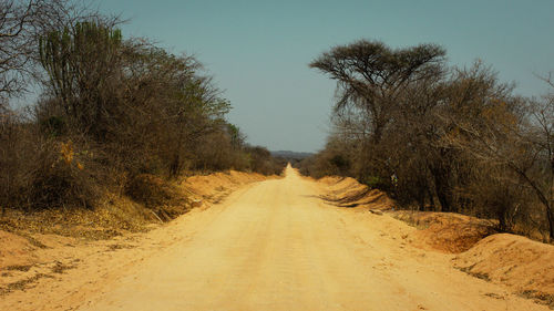 Dirt road amidst trees against sky