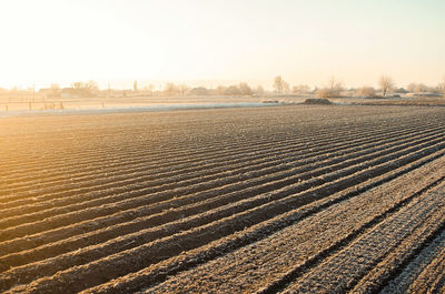 Winter farm field ready for new planting season. preparatory agricultural work for spring.