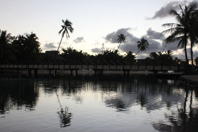 Reflection of trees in water at sunset