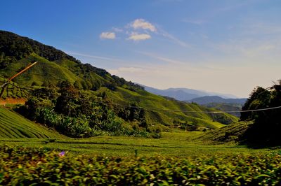 Scenic view of green landscape against sky