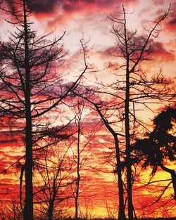 Silhouette trees against dramatic sky during sunset