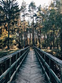 Footbridge amidst trees in forest