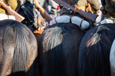 A view of the horse behind and the soldiers sitting on it.