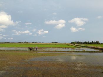 Farmer working on agricultural field against sky