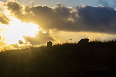 Scenic view of silhouette field against sky during sunset