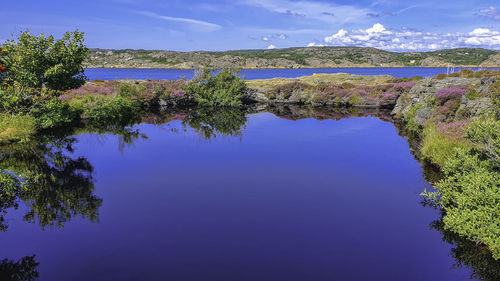 Scenic view of lake against blue sky