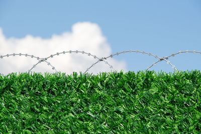 Close-up of metal fence on field against sky