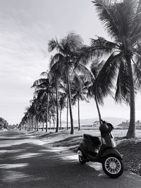 Summer vibes. motorcycle on the beach under palm trees. black and white photo