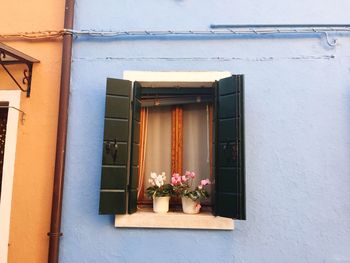 Potted plants on window sill of building