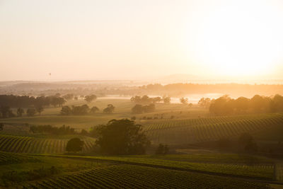 Scenic view of agricultural field against sky during sunset